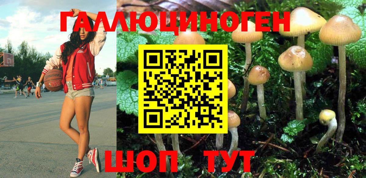 Псилоцибиновые грибы MAGIC MUSHROOMS Минеральные Воды