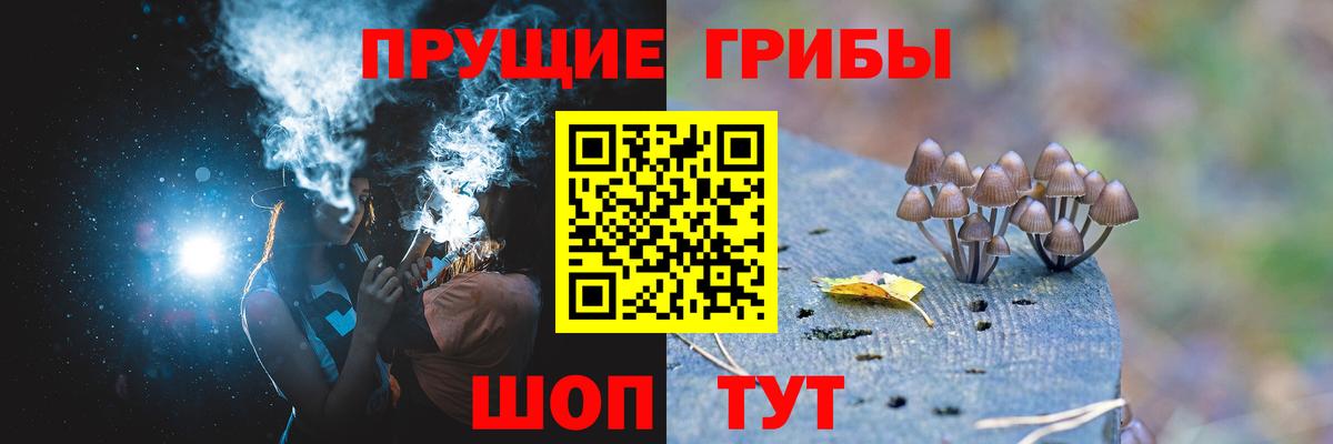 Псилоцибиновые грибы Magic Shrooms  Вход с VPN  Минеральные Воды 